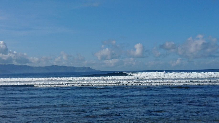 Whales & Waves Beach Resort主图