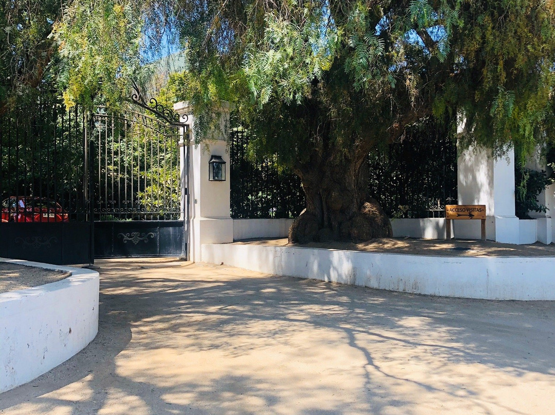 Vina Errazuriz-San Felipe必去景点