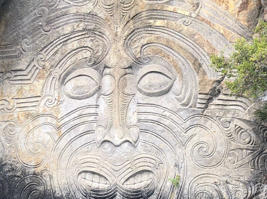 Maori Rock Carvings景点图片