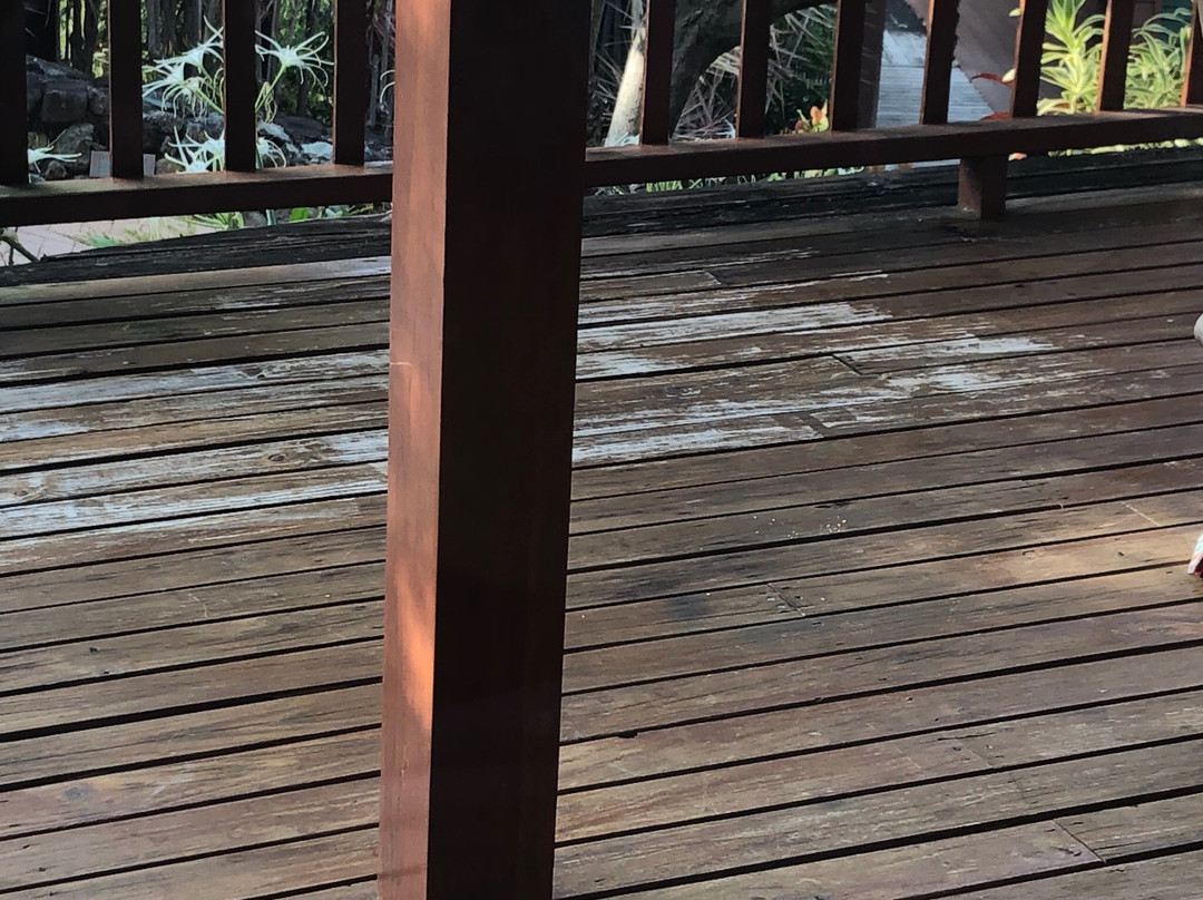 哈密顿岛卡舒瑞纳 1 号酒店