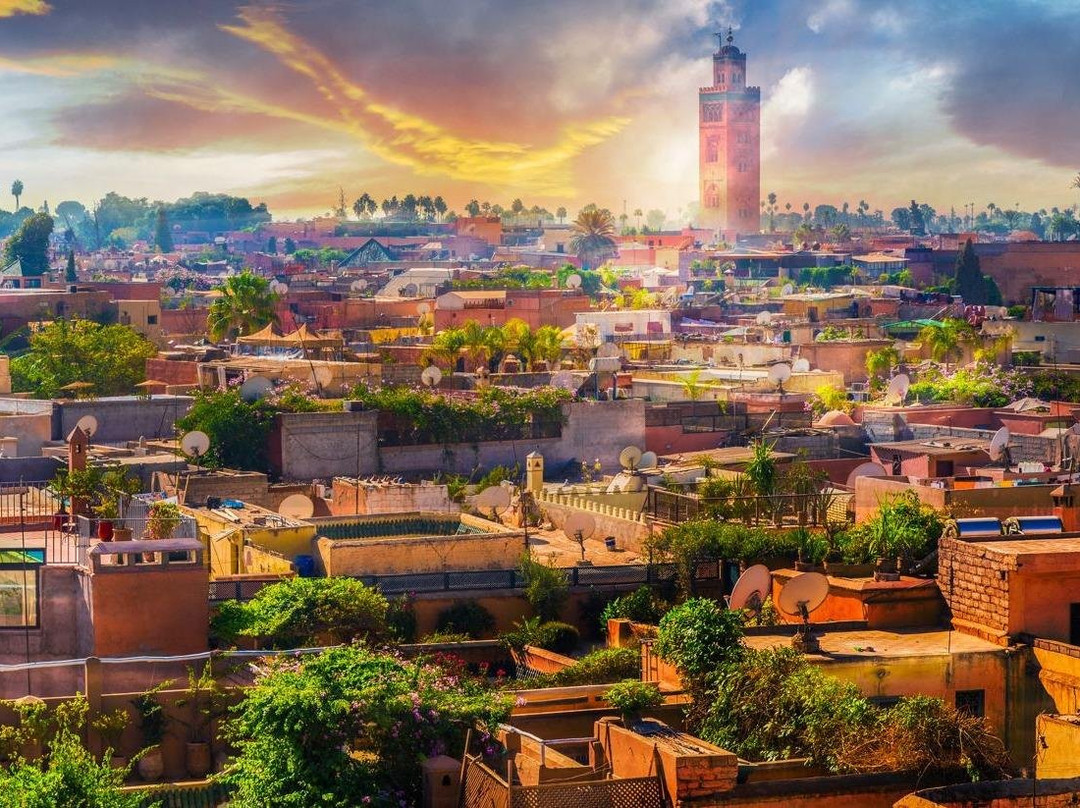 Atlas City Tours-马拉喀什必去景点