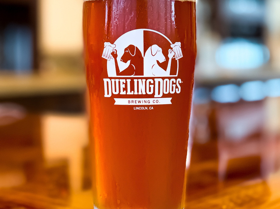 Dueling Dogs Brewing Co.景点图片