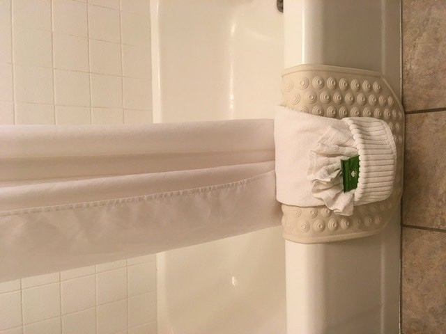 Swiss Alps Inn主图