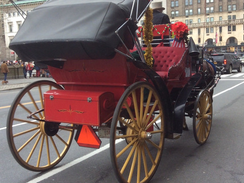Central Park Carriage Rides - Official Booking  Site-纽约市必去景点