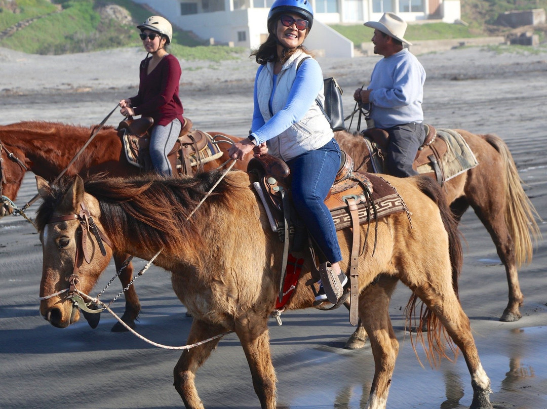 Horses by Jose-La Mision必去景点