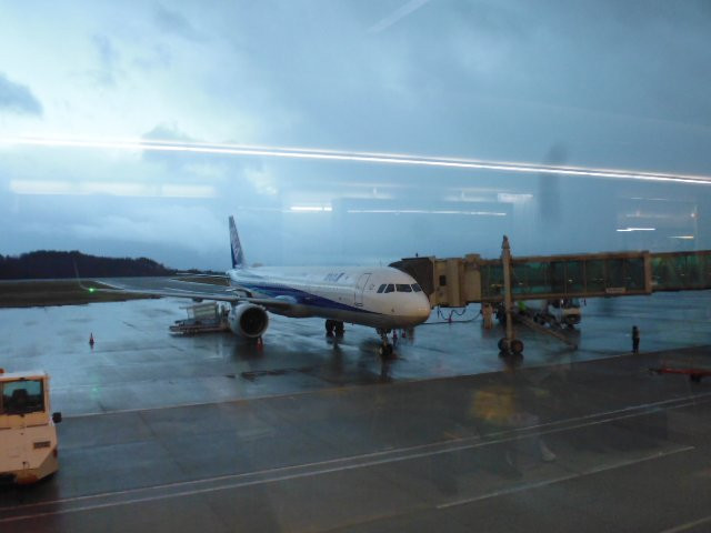 Noto Satoyama Airport Observation Deck景点图片