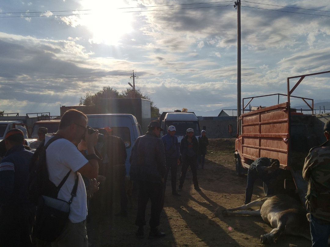 Karakol Cattle Market-Karakol必去景点