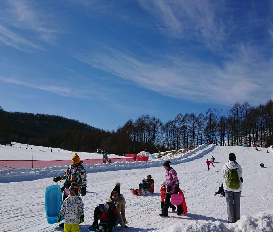 Karuizawa Snow Park景点图片