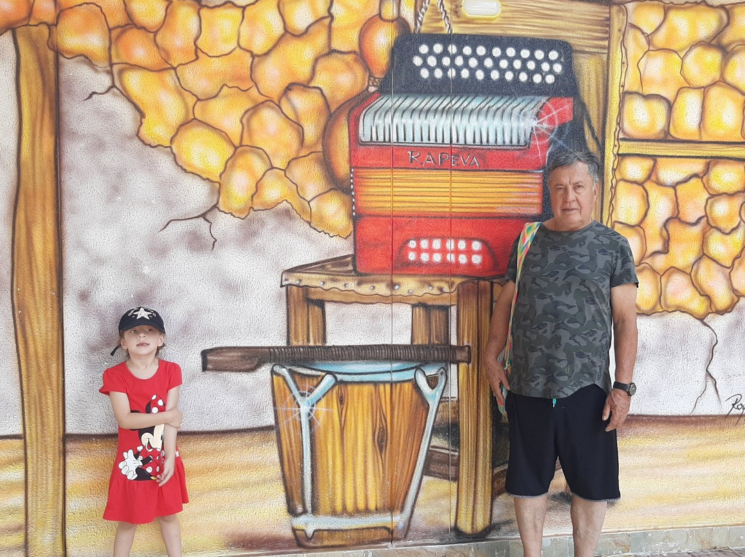 Rio Guatapuri-巴耶杜帕尔必去景点