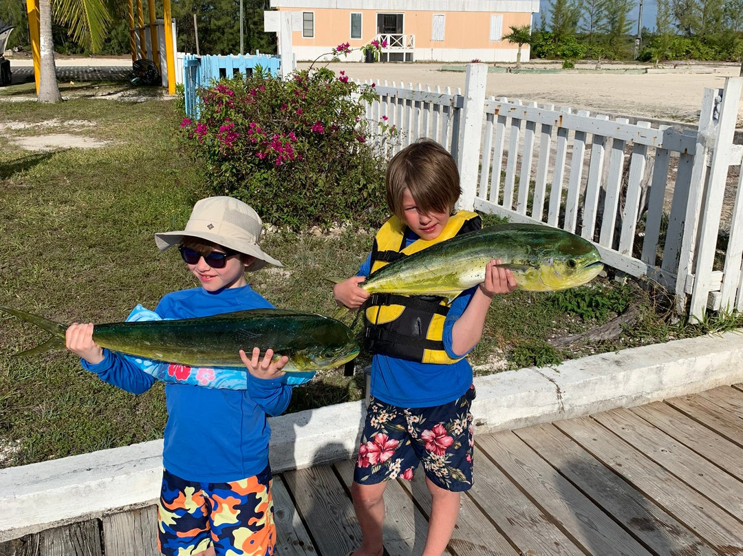 Double D & I-伊柳塞拉必去景点