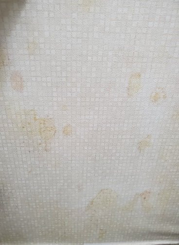 Holiday Inn Express & Suites Brampton By IHG主图