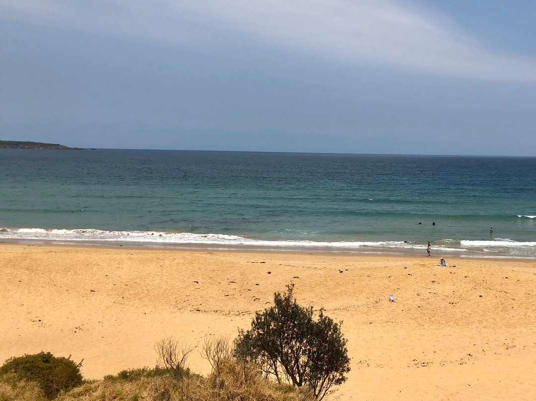 Aslings Beach Boardwalk-伊登港必去景点