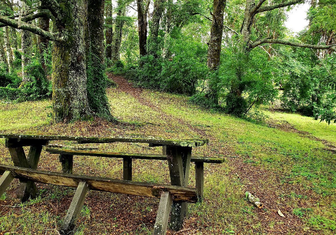 Meular Chiloe B&B Hotel主图