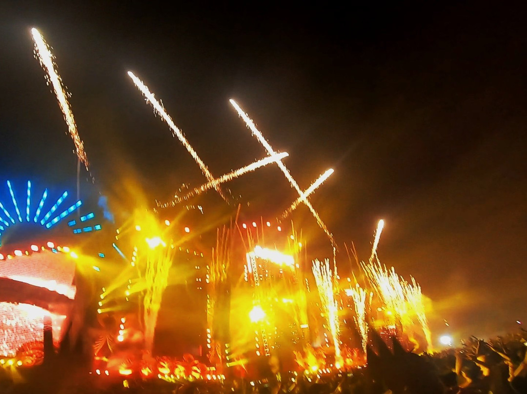 Sunburn Goa景点图片