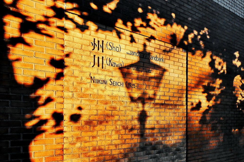 Photography Tours Leiden景点图片