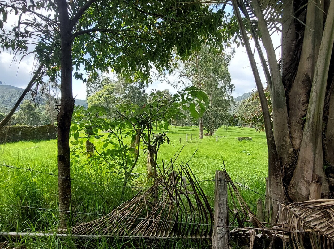 Pino Hermoso Reserva Natural