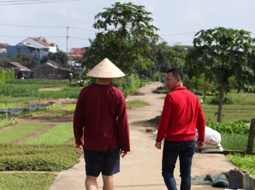 Hoi An Guided Tours-会安必去景点