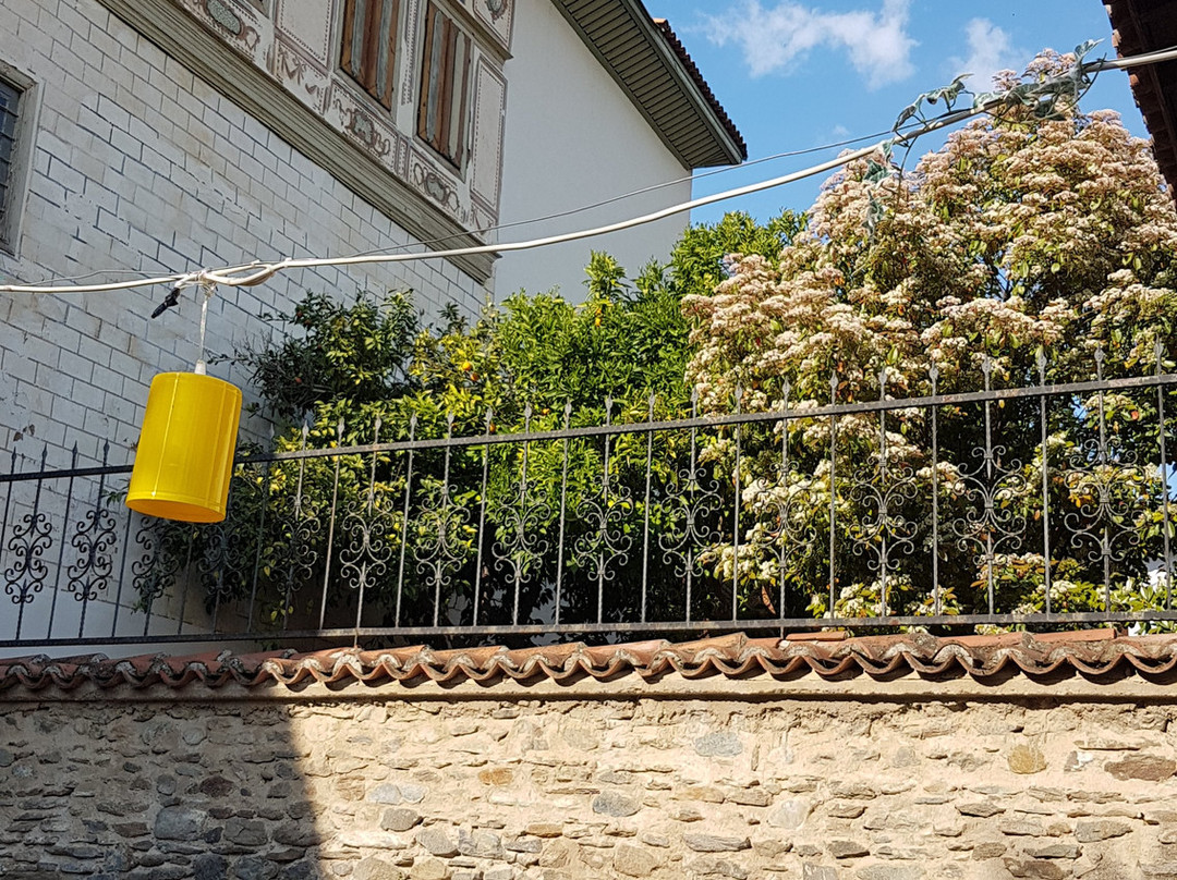 Birgi Cakiraga Mansion景点图片