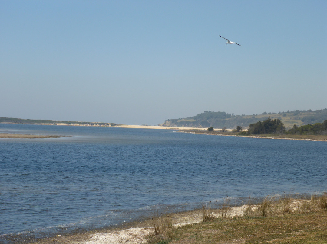 Batemans Marine Park景点图片