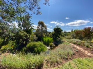 Belfield Farm Cottages主图