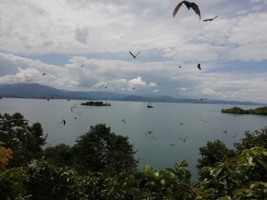 Patrick eco tours-Kibuye必去景点