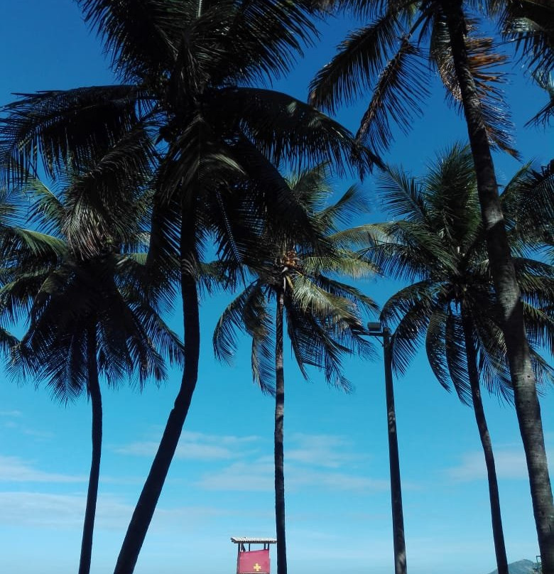 Camburi Beach景点图片