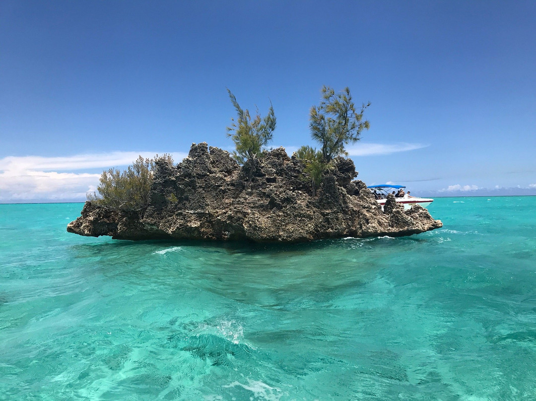 La Pirogue - Swim with the Dolphins-弗力克昂弗雷克必去景点