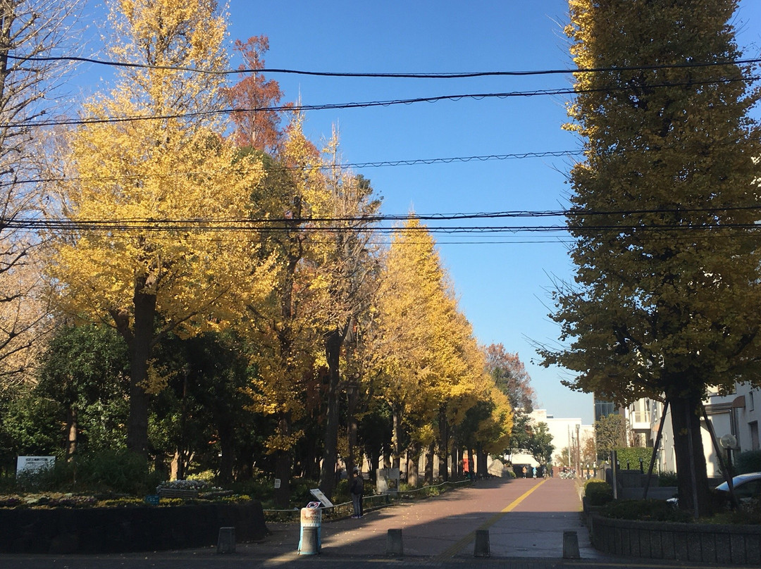 Earthquake Science Museum-北区必去景点
