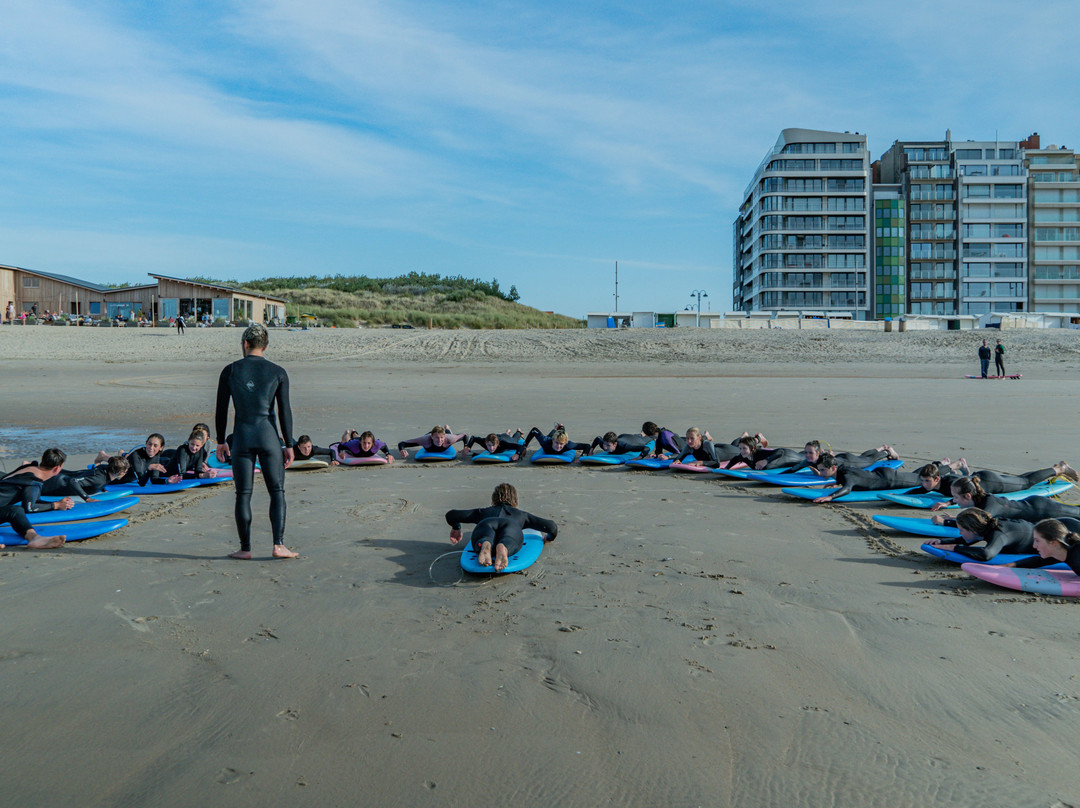 Surfing Elephant-Wenduine必去景点