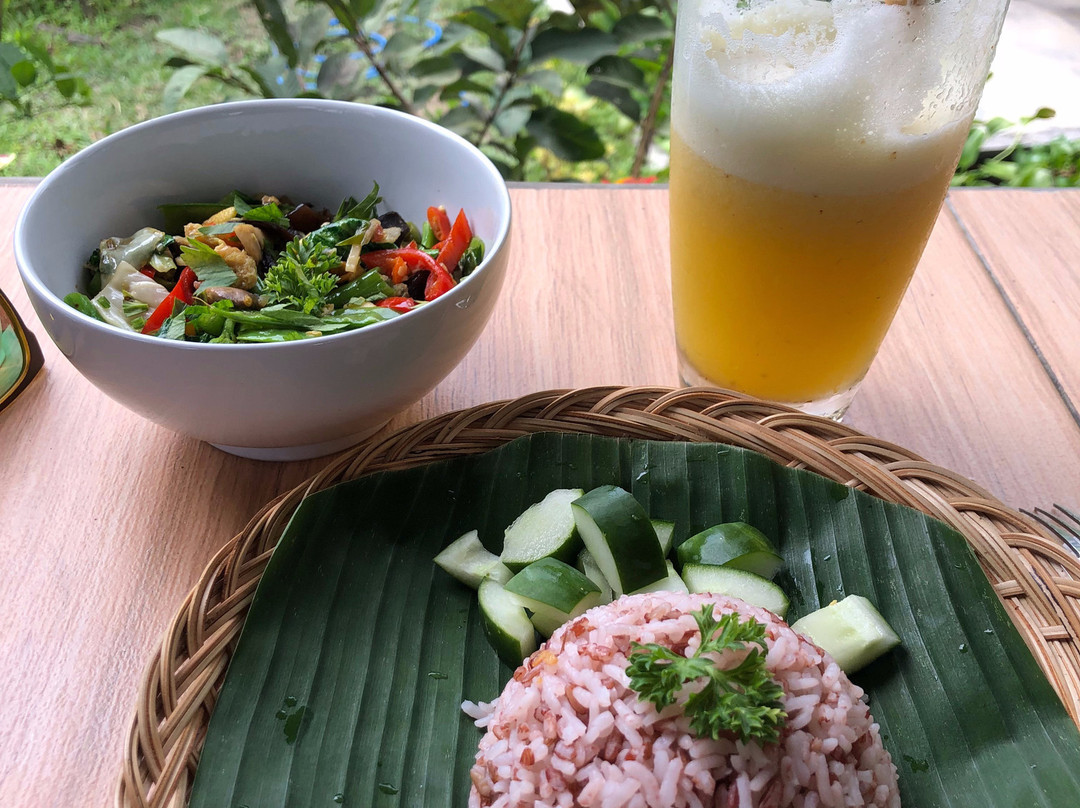 Ubud Rice Field Trekking-佩艳艮必去景点