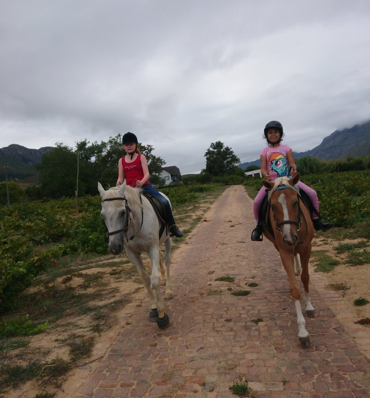 Eagles View Equestria at Klein Lanzerac-Elsenburg必去景点