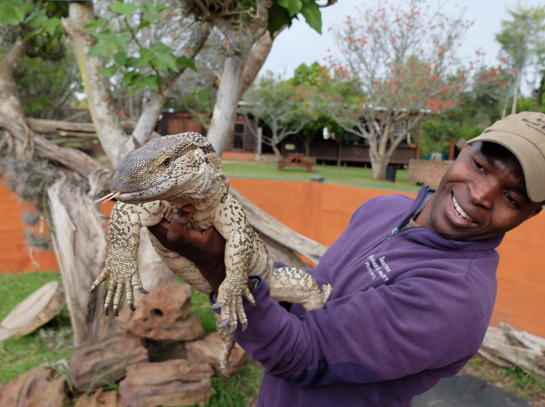 Lawnwood Snake Sanctuary-The Crags必去景点