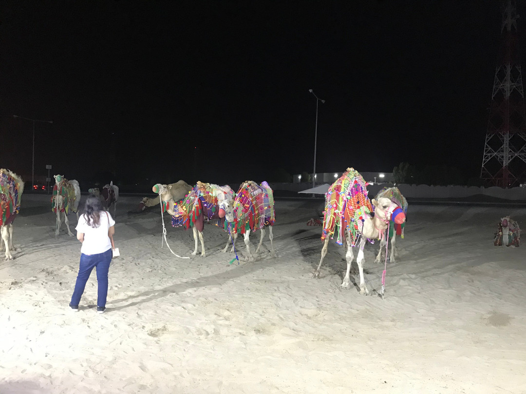 Best Tours in Qatar-多哈必去景点