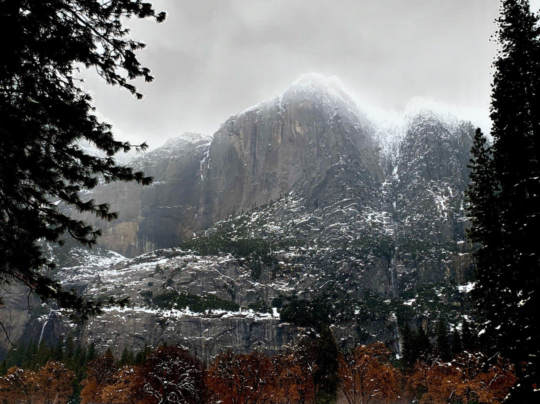 YExplore Yosemite Adventures - Day Tours景点图片