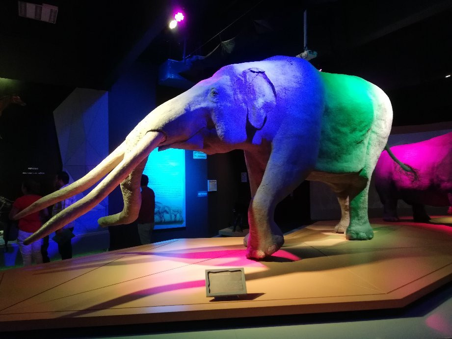 Museo de la Evolucion Puebla (Museum of Evolution Puebla)-普埃布拉必去景点