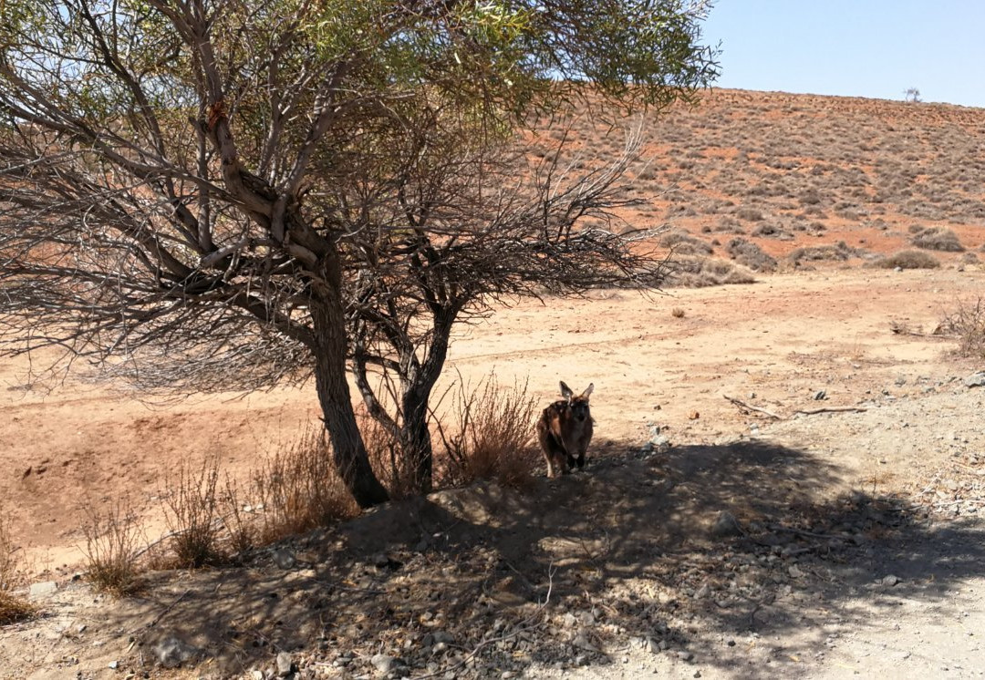 Wilpena Pound-富琳德斯国家公园必去景点