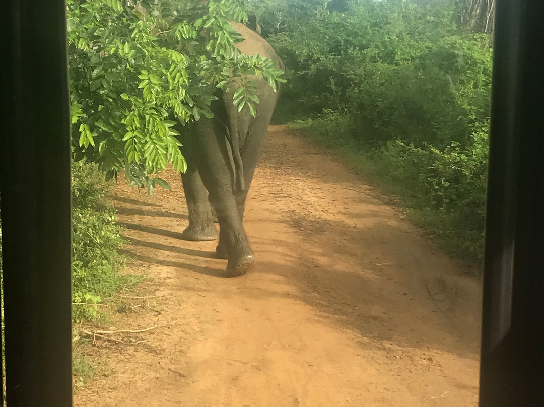 Geethmi Tours-亚洪加拉必去景点