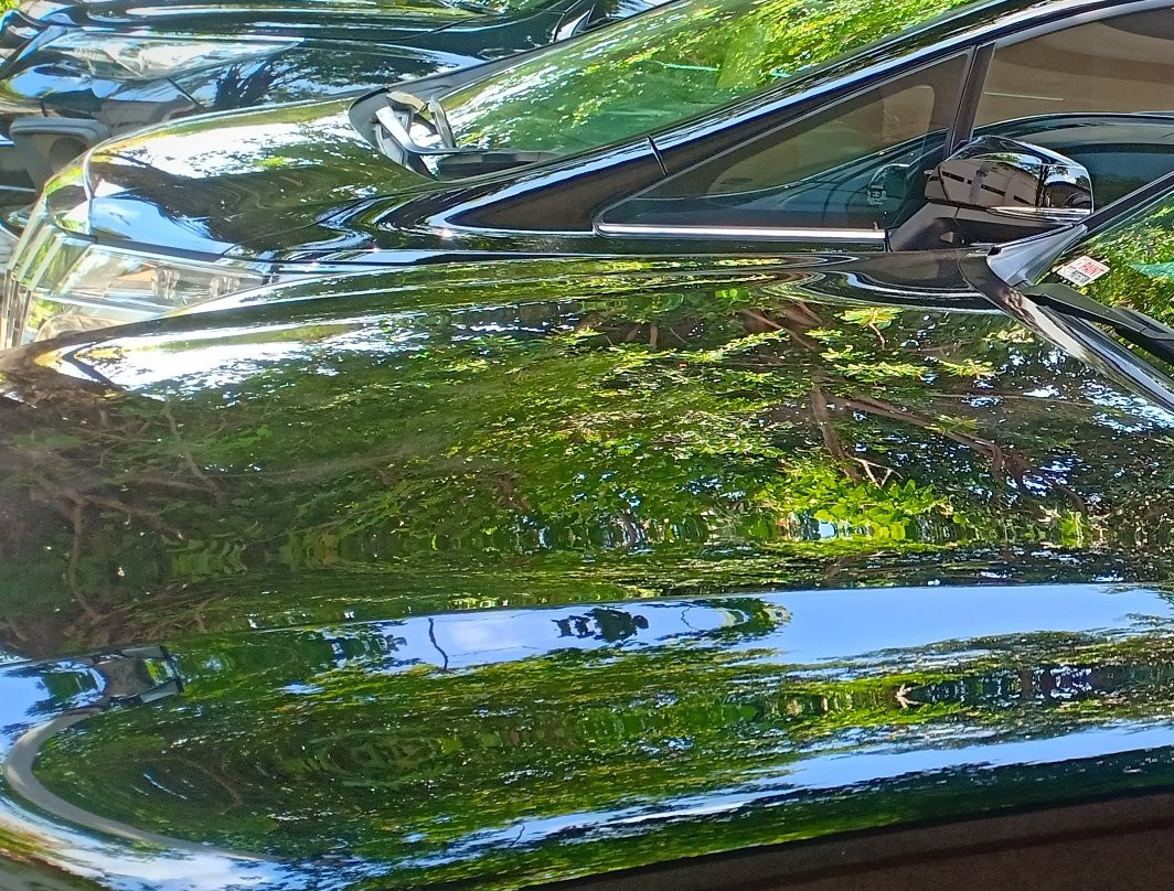 REDDOORZ near Adisucipto Airport主图