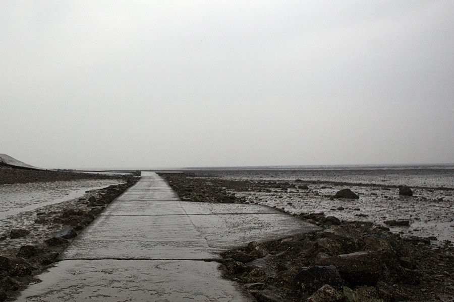Tando Port-安山市必去景点
