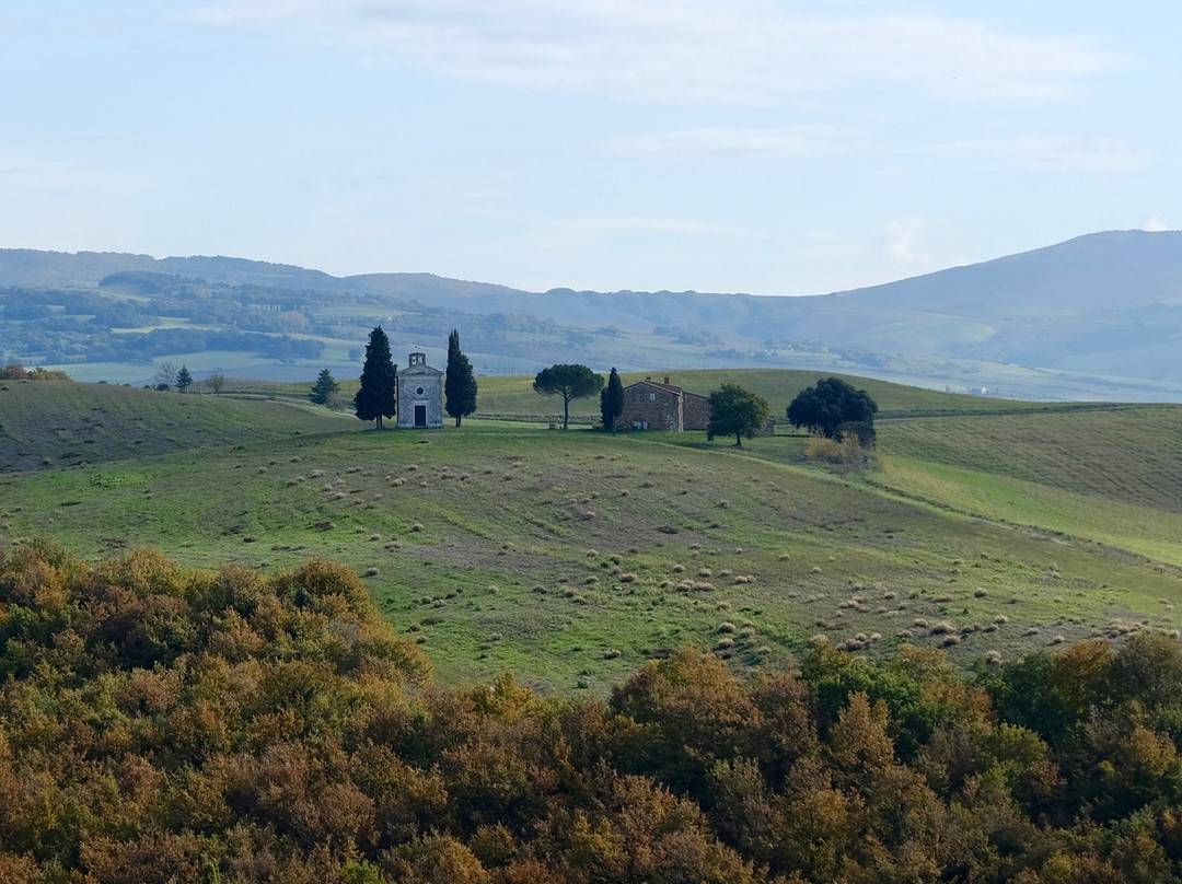 Transfer & Tours Cortona-科尔托纳必去景点