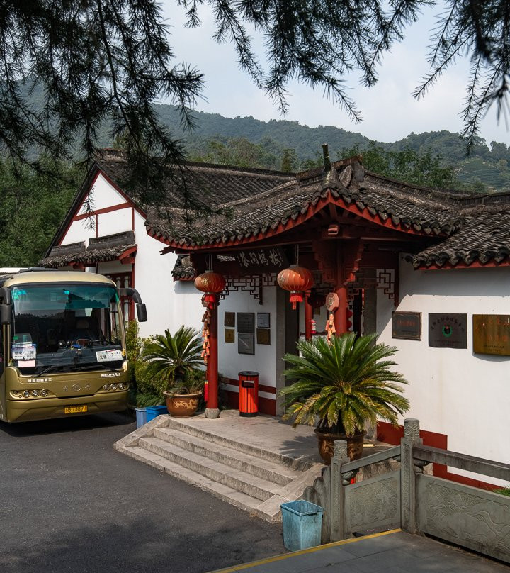 杭州龙井山园茶文化村景点图片