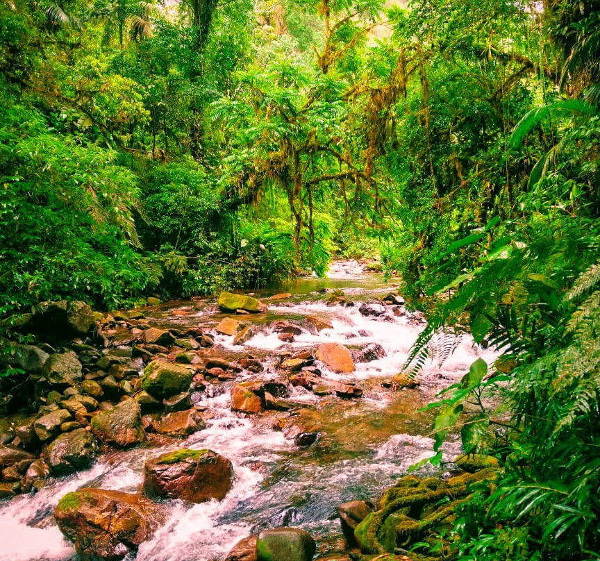 Renan Silva-Eldorado必去景点