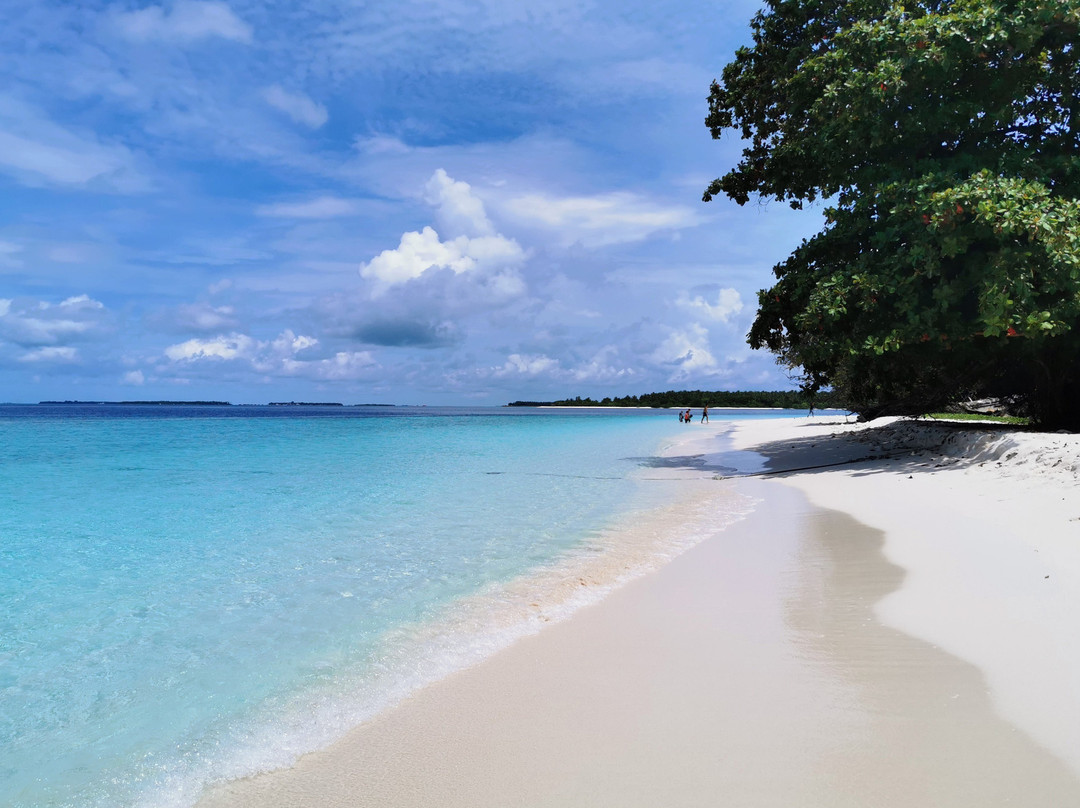 Maclura Residence主图