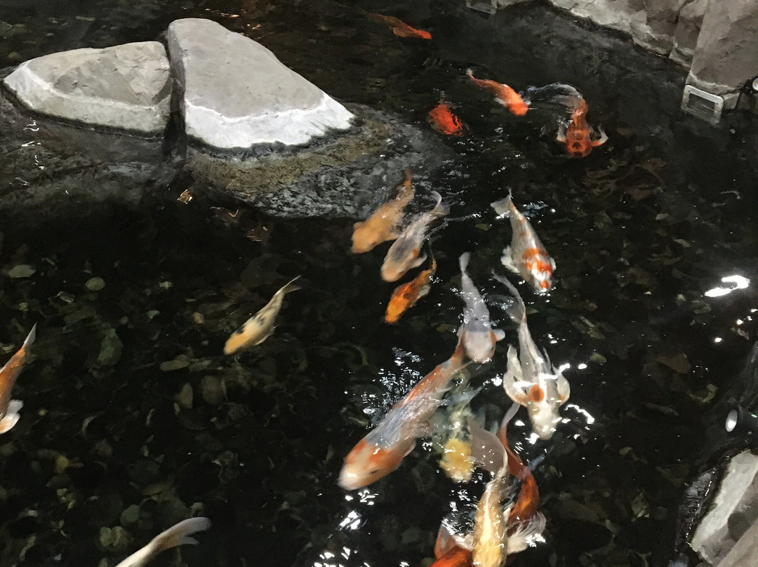 C'mon Inn of Casper主图