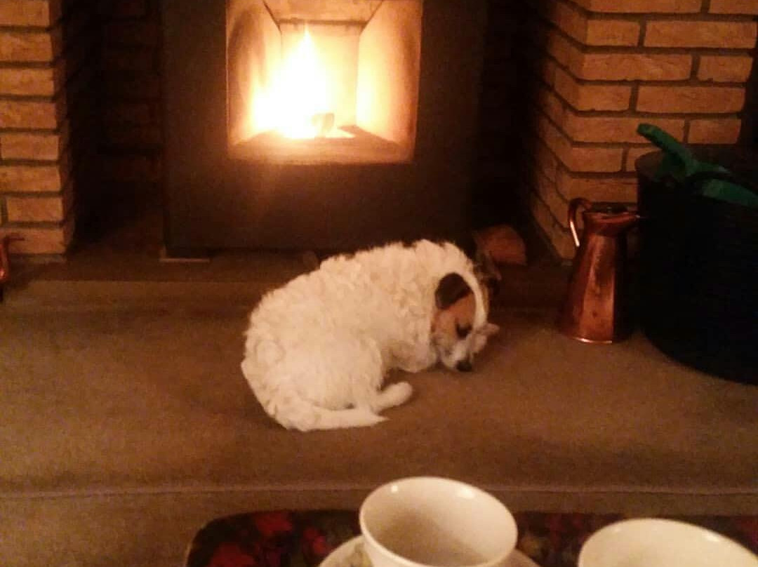 Greenfield Farm主图