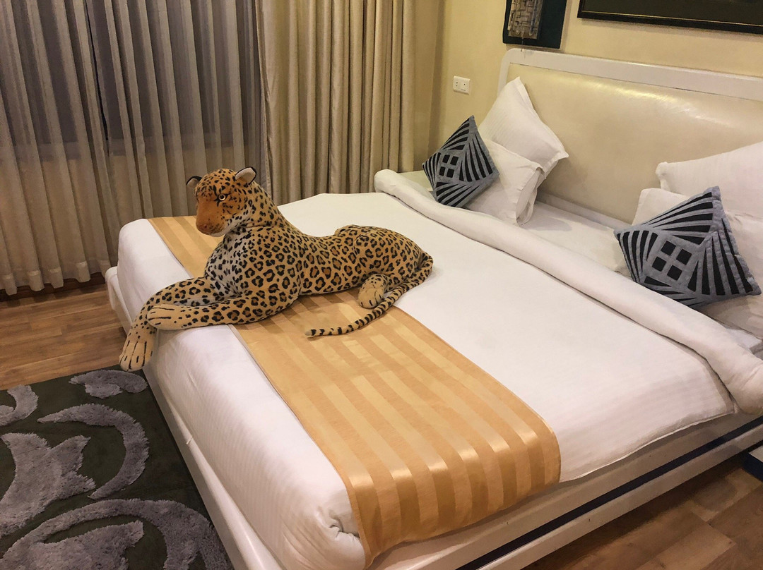 亚利亚精品 Spa 酒店主图