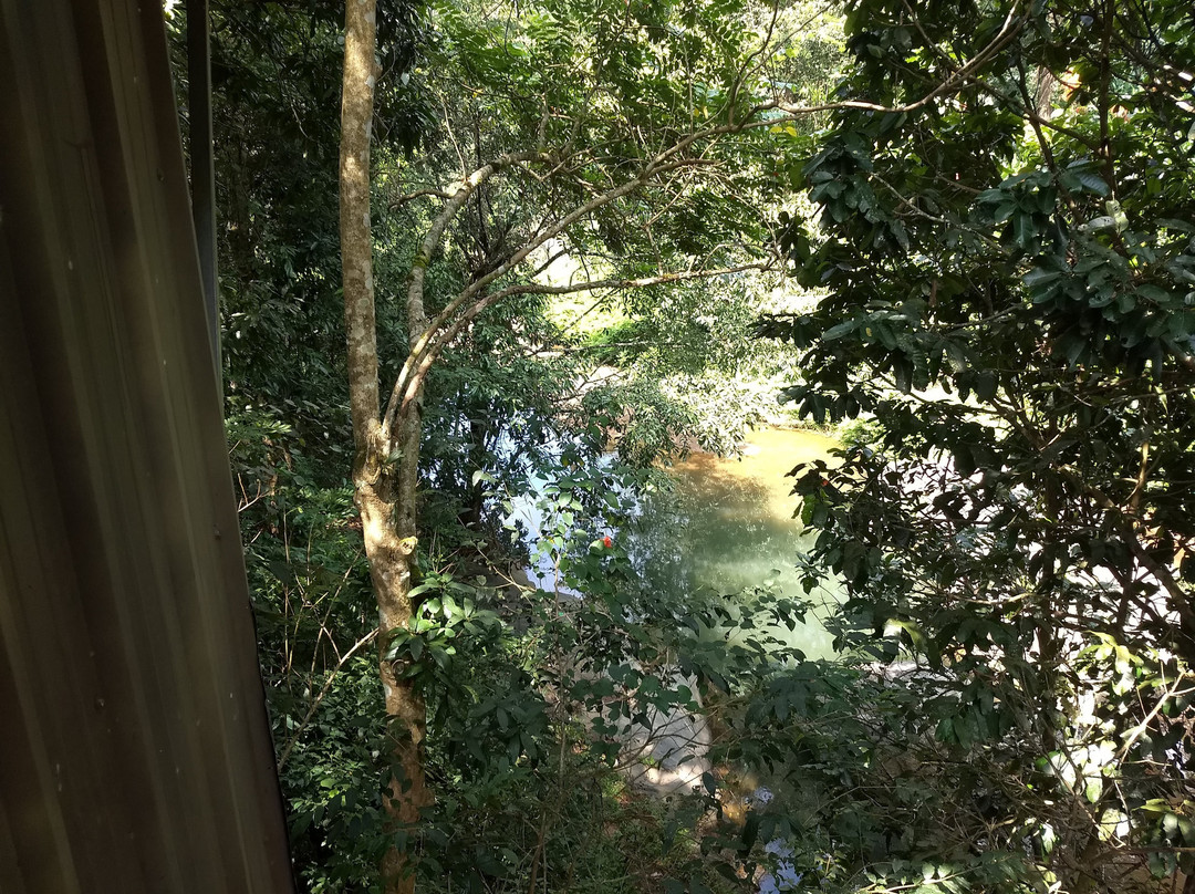 Jungle Beats Resorts主图