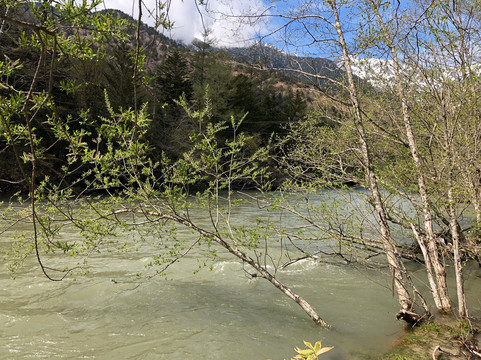 Tashiro Shitsugen-松本市必去景点