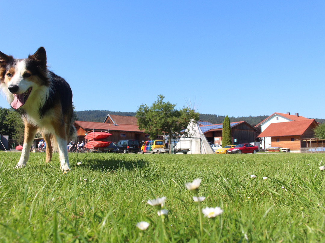 Campingplatz Aqua Hema