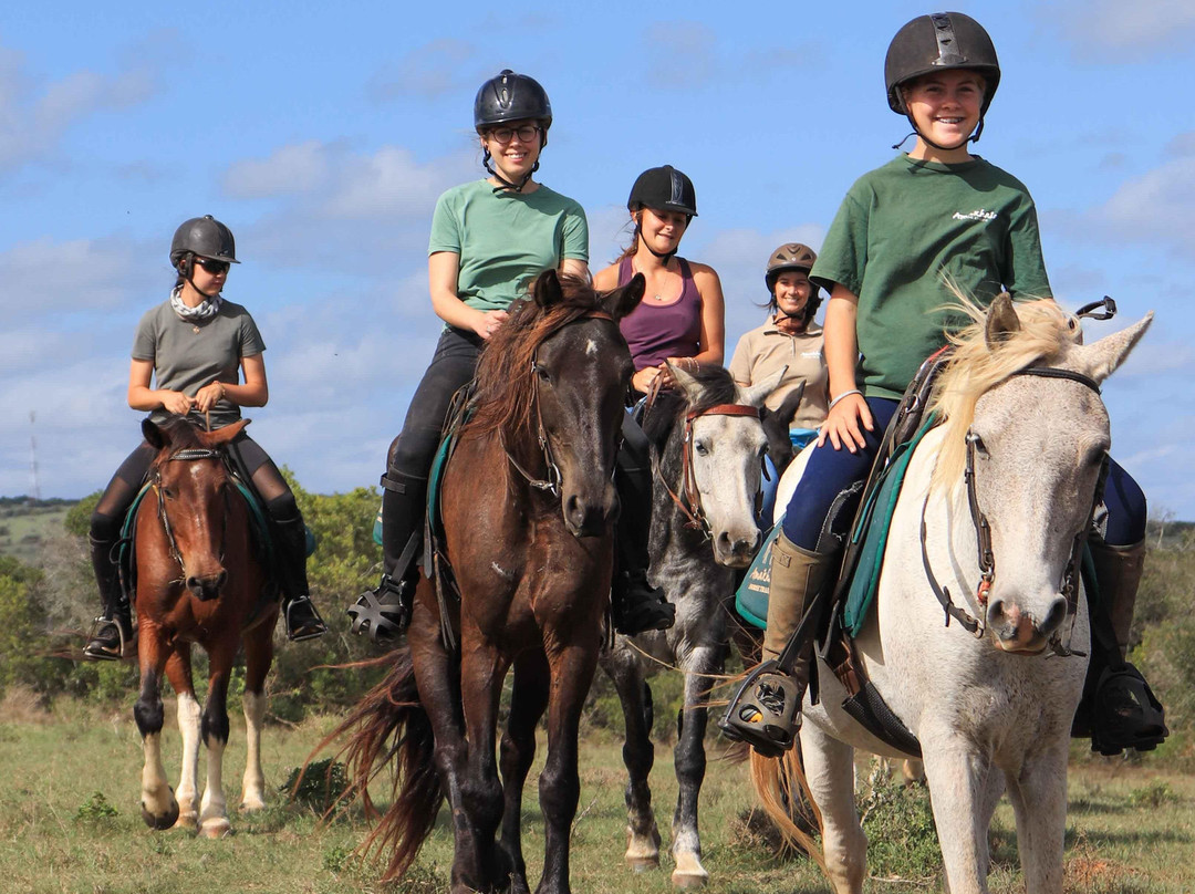 Amakhala Horse Trails-伊丽莎白港必去景点